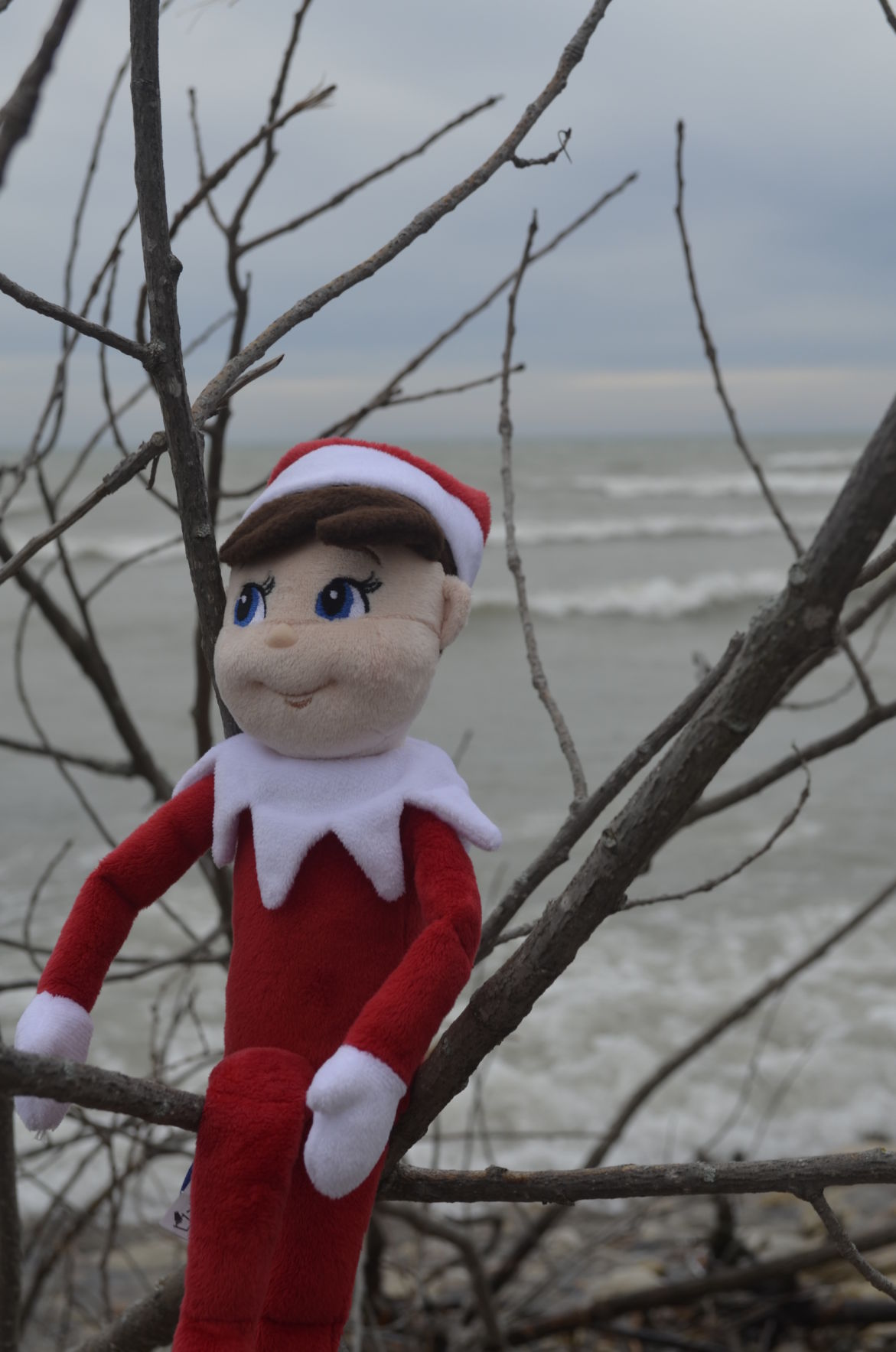 The Elf on The Shelf